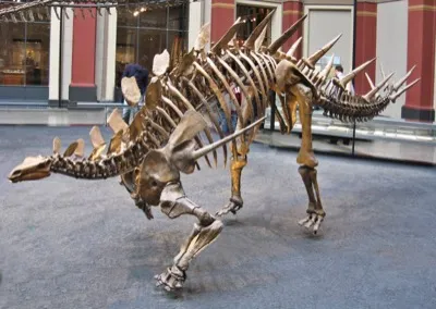Kentrosaurus